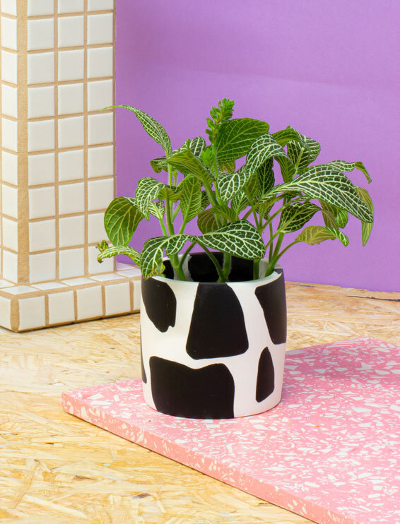 cow print plant pot Salt Studios