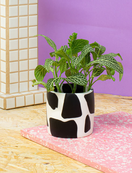 Salt Studios - Cow Print Plant Pot