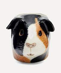 Guinea Pig Egg Cup