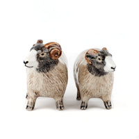 Swaledale Sheep Salt and Pepper