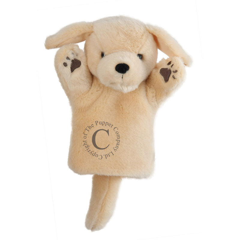 CarPet - Labrador - Yellow
