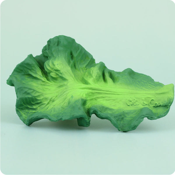 Kendall the Kale Teether