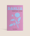 Dahlia ‘Pompone Mixed’ Seeds