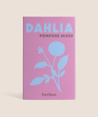 Dahlia ‘Pompone Mixed’ Seeds