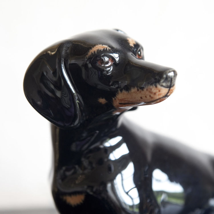 Dachshund Money Box