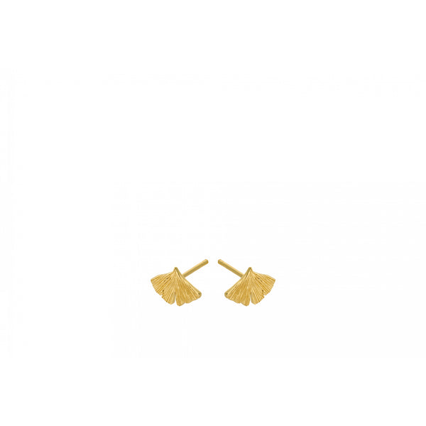Biloba Earsticks - Gold Plated