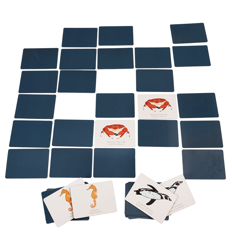 Ocean Memory Game - 40 pieces
