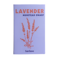Lavender 'Munstead Dwarf' Seeds