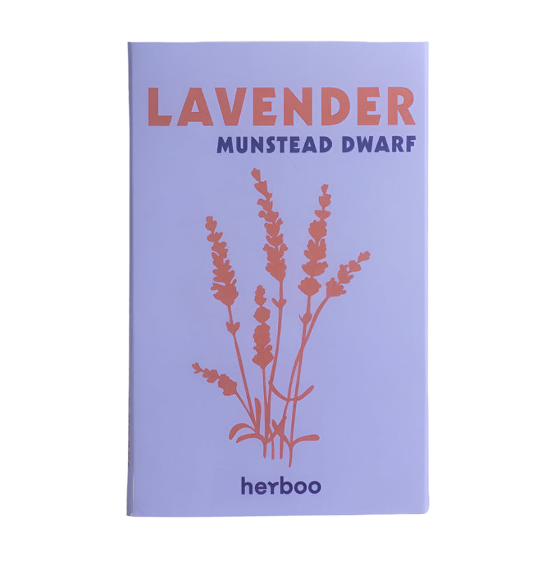 Lavender 'Munstead Dwarf' Seeds