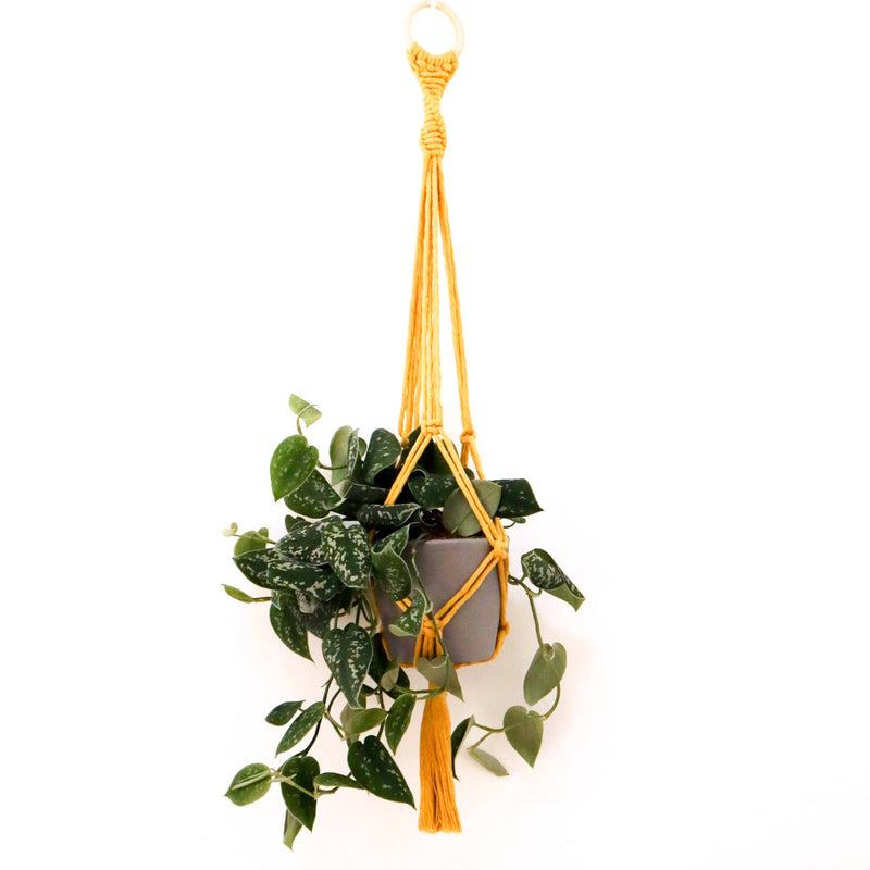 Stitch Happy - Make your own Macrame Plant Hanger Kit