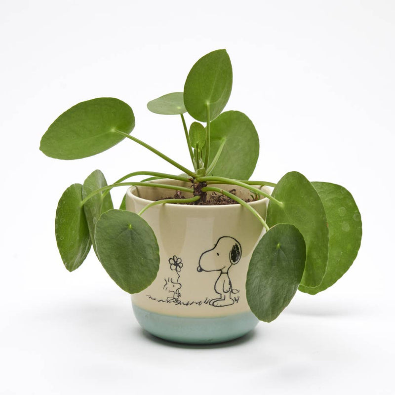 Peanuts Stoneware Planter - Love is in Bloom