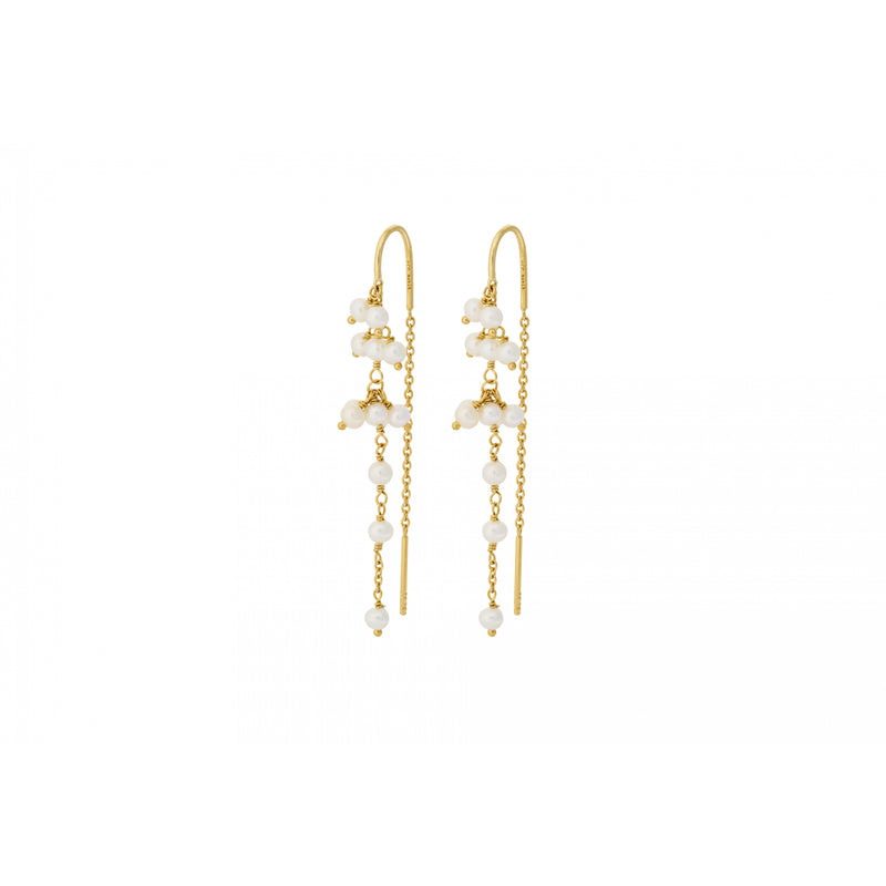 Ocean Treasure Earchains - Gold Plated
