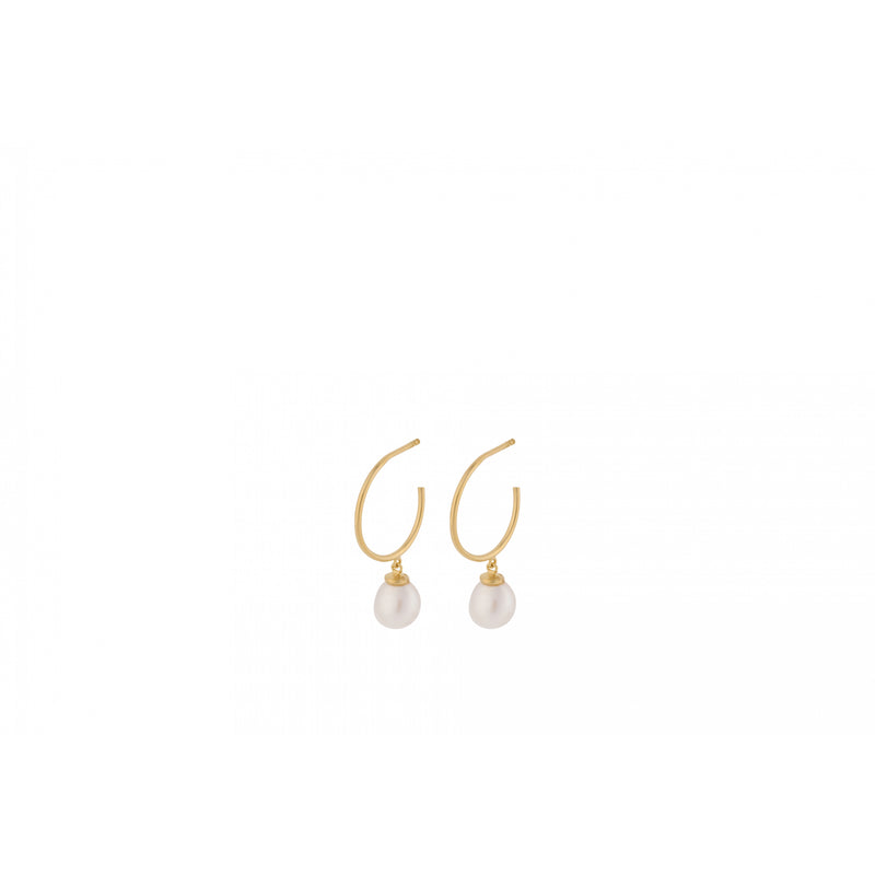 Ocean Dream Hoops - Gold Plated