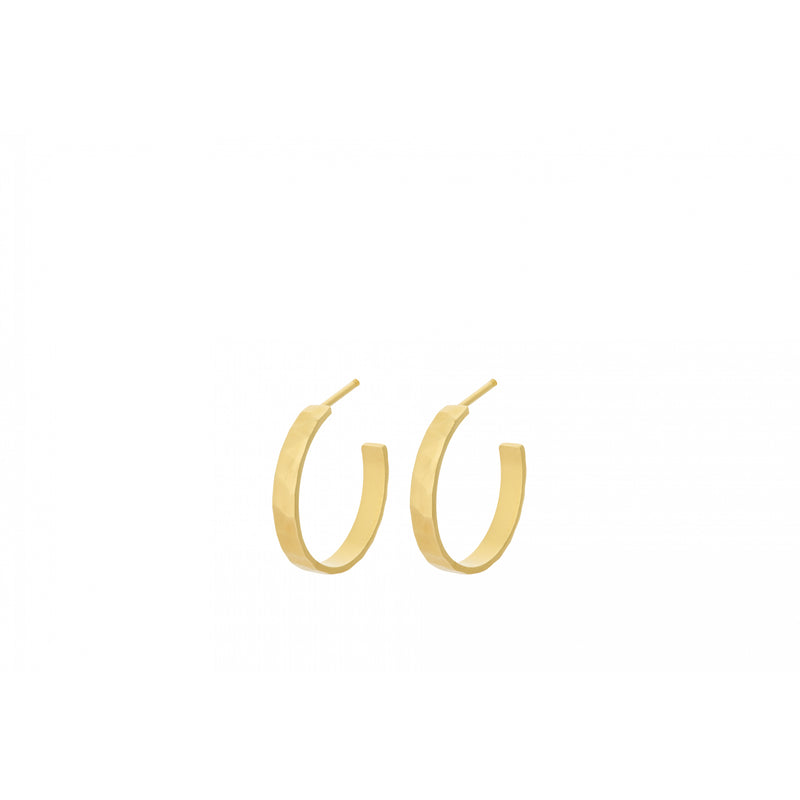 Pine Hoops - 20mm - Gold Plated