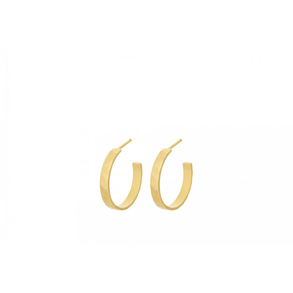 Pine Hoops - 20mm - Gold Plated