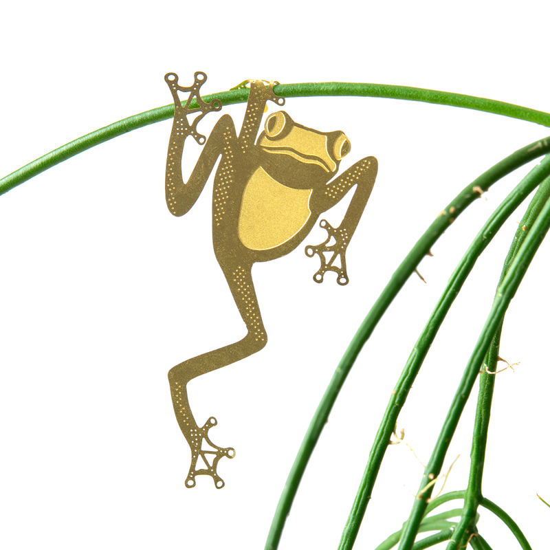 Plant Animal Houseplant Decoration - Tree Frog
