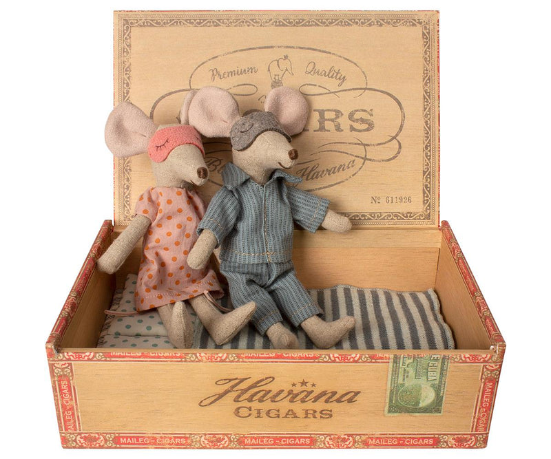 Mum And Dad Mice in Cigar Box