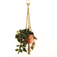 Stitch Happy - Make your own Macrame Plant Hanger Kit