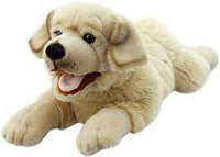 Playful Puppies - Labrador