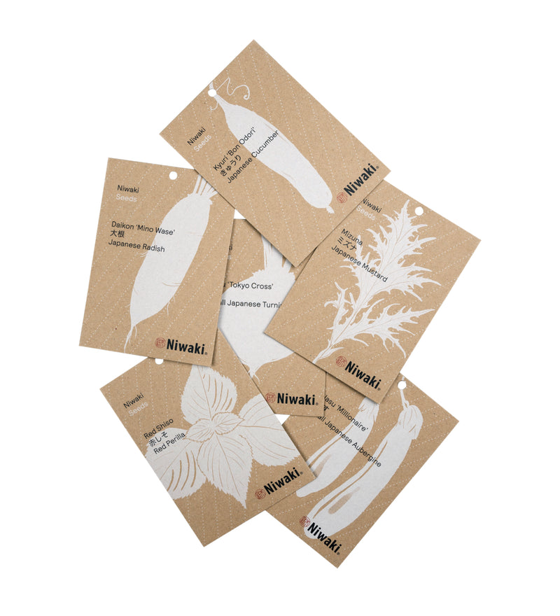 Vegetable / Herb Seeds - All Six