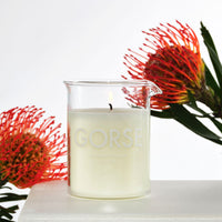 Laboratory Perfume - GORSE - Candle