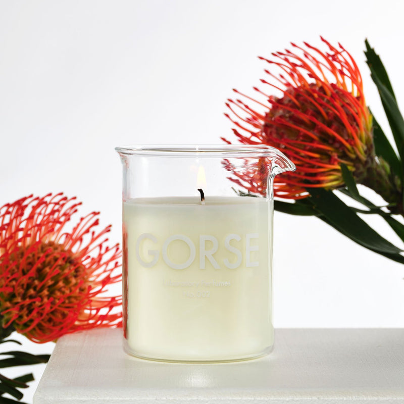 Laboratory Perfume - GORSE - Candle