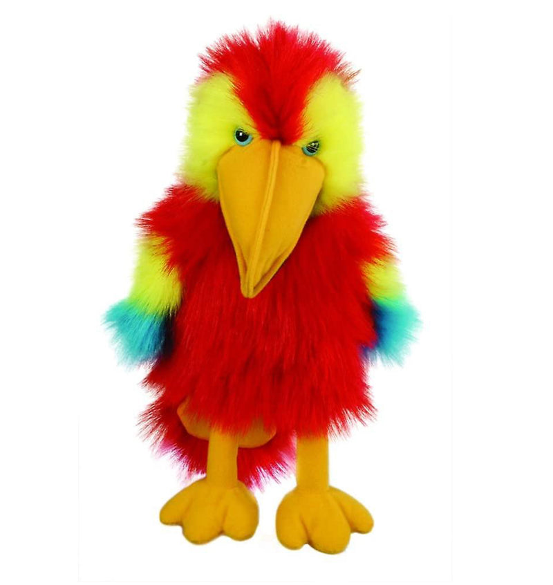Scarlet Macaw