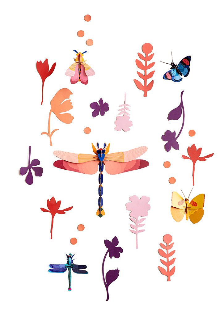 Studio Roof - Wall of Curiosities - Insect Connoisseur