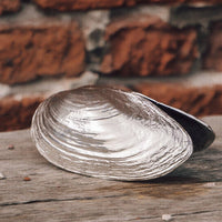 Mussel shovel