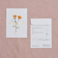 Californian Poppy Seed Packet