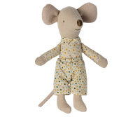 Little Brother Mouse in Box