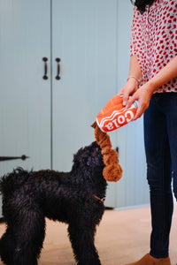 Good Boy Cola Dog Toy