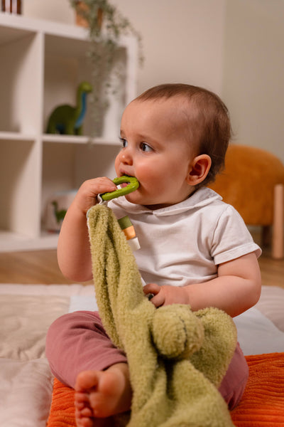 Rex the Tyrannosaurus Comforter