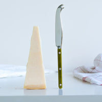Bistrot Solid Cheese Knife - Green Fern