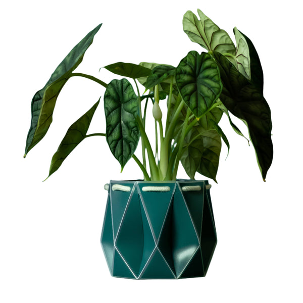 15cm Self-Watering Pot - Dark Teal