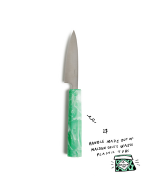 Stainless Steel Petty Knife