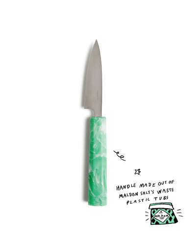 Stainless Steel Petty Knife