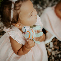 Crochet Turtle Rattle