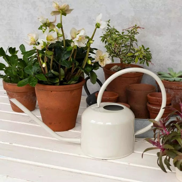 Metal Watering Can - Stone Grey