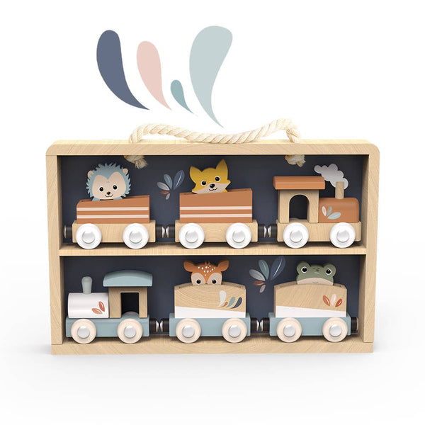 Wooden Train Set / Display Case
