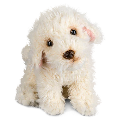 Labradoodle Playful Pup