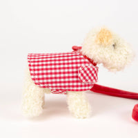 Mini Eliot With Leash & Coat