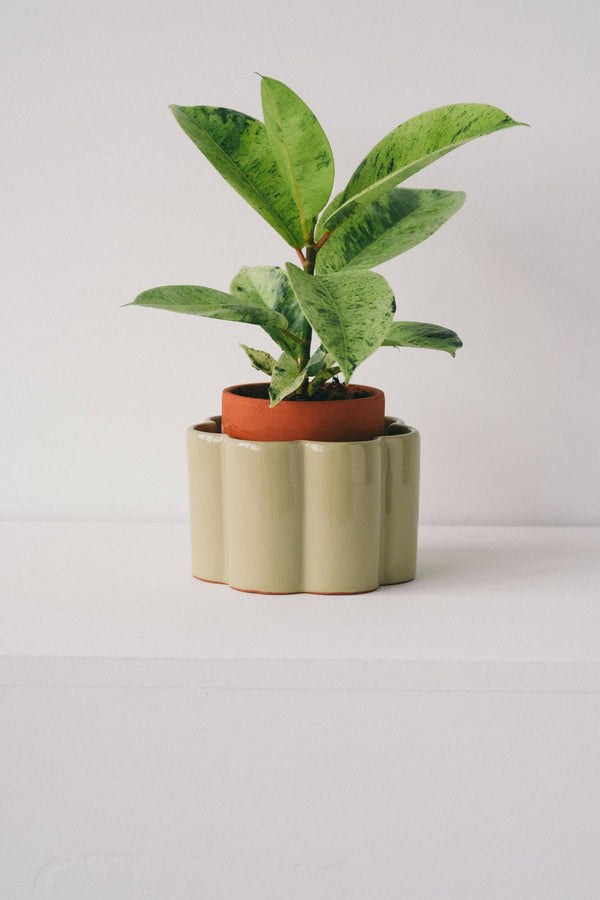 Self-Watering Pot Paula - Sage Green