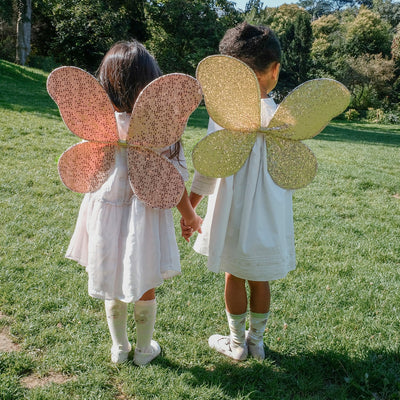 Sequin Flower Fairy Wings
