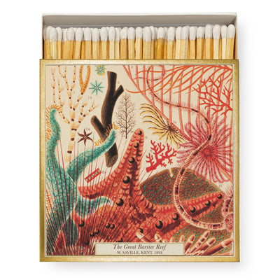 Barrier Reef Square Matchboxes