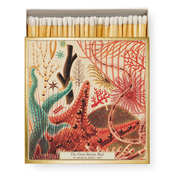Barrier Reef Square Matchboxes