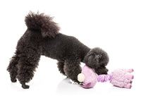 Neckita The Llama Dog Toy