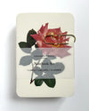 Canonbury Press - Garden Roses Notebook Set
