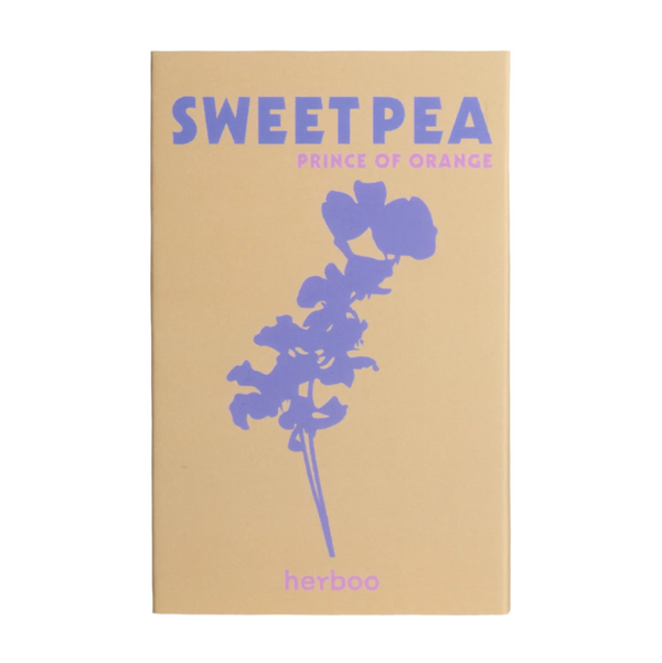 Sweet Pea ‘Prince of Orange’ Seeds