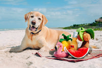 Tropical Paradise Canine Cerveza Dog Toy
